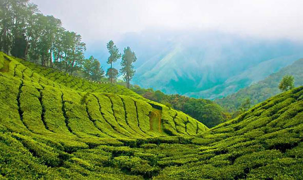 Munnar